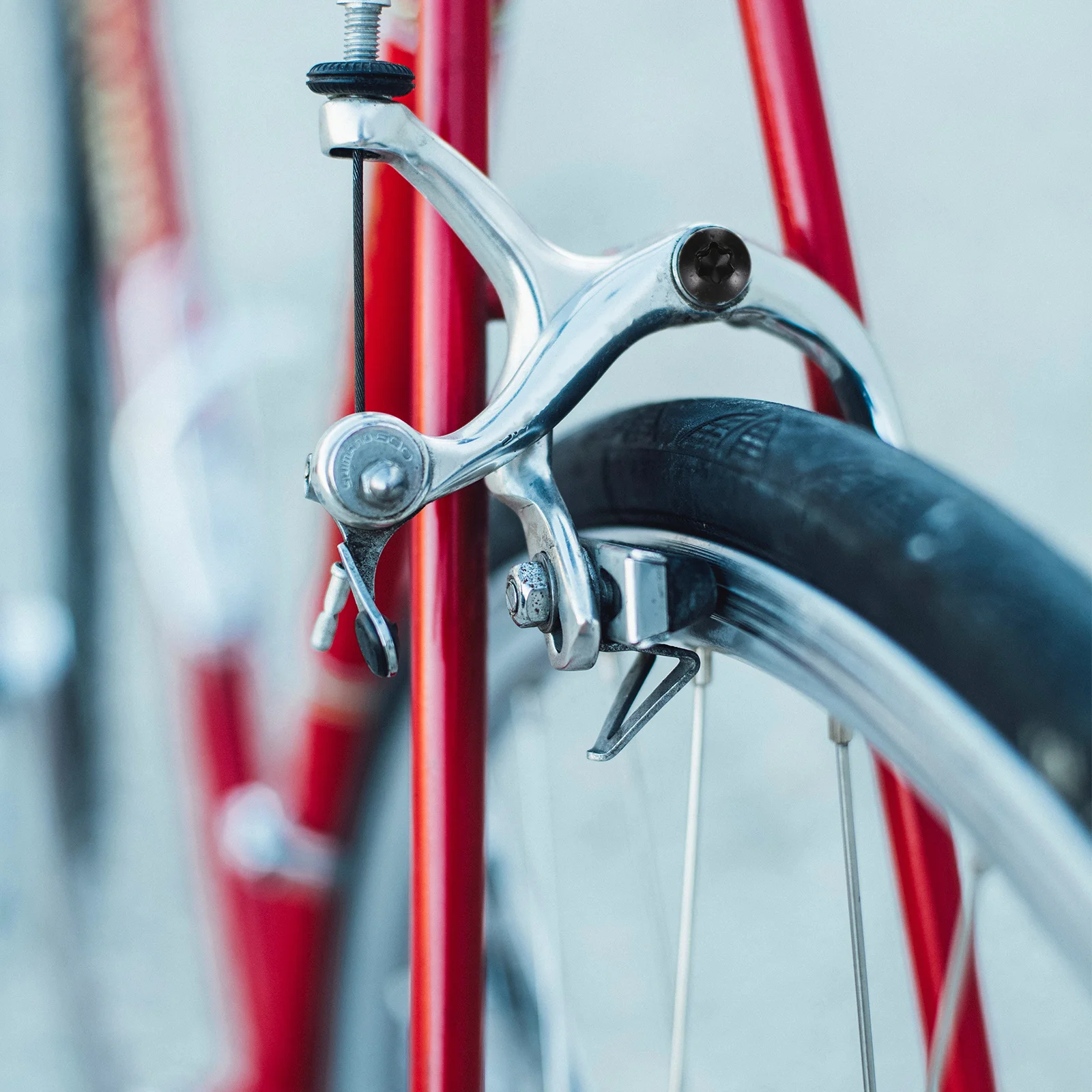 

12 pcs Colorful Bike Disc Rotor Bolts Fixing Screws Rust-Resistant Brake Disc Bolts For Mtb Bicycle Riding Accessories