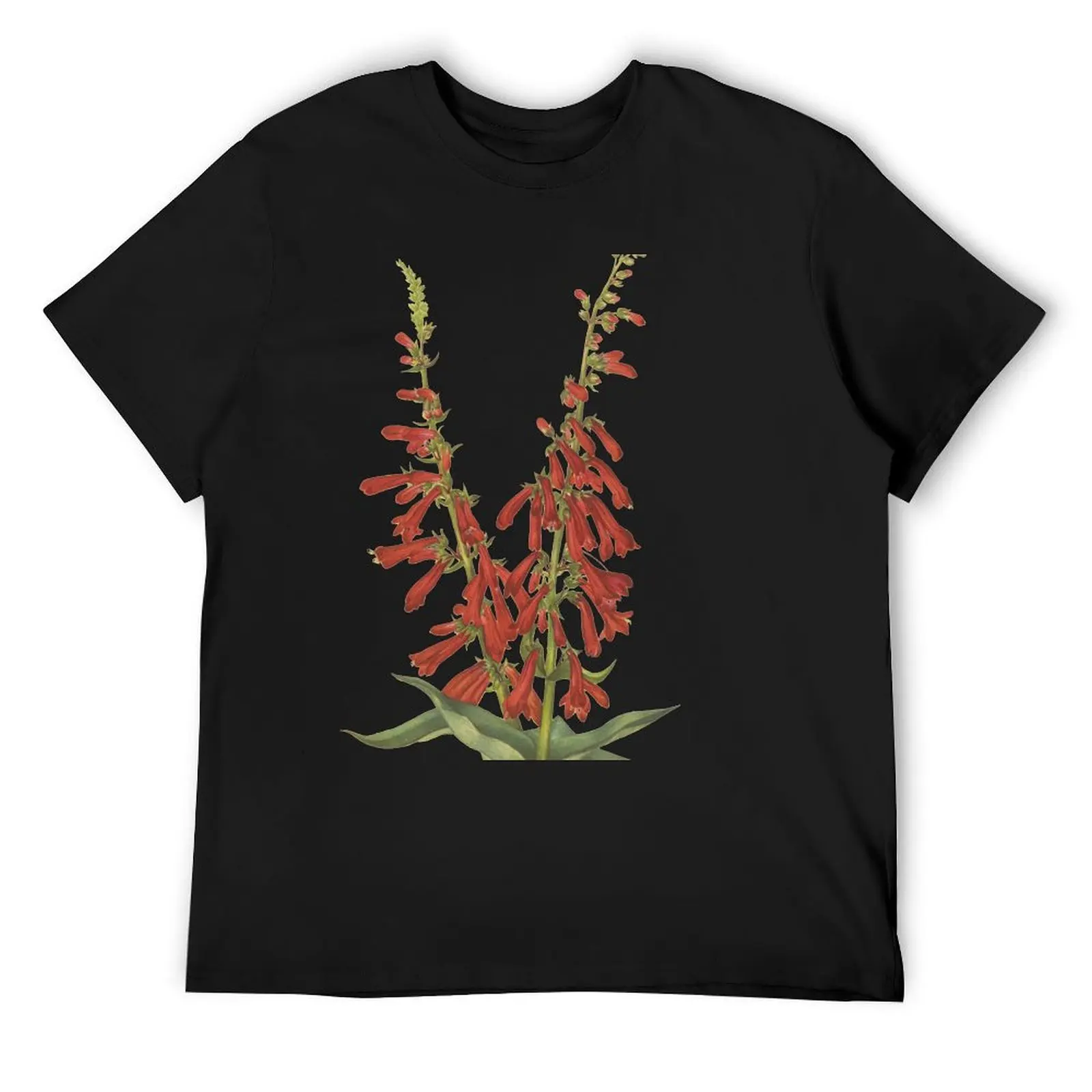 

Vintage Botanical Flower Art - Firecracker Penstemon - Beardtongue - Penstemon eatonii T-Shirt