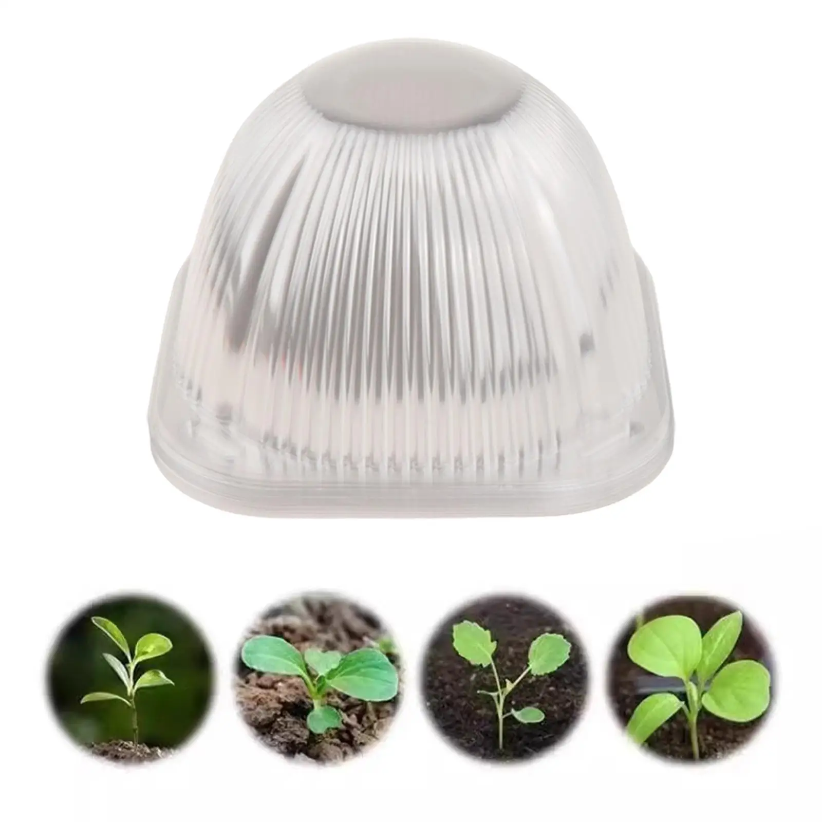 Gardening Tools Plant Protection Cover Breathable Plastic Dome Cloches Transparent Light Aid Freeze Animal Protection