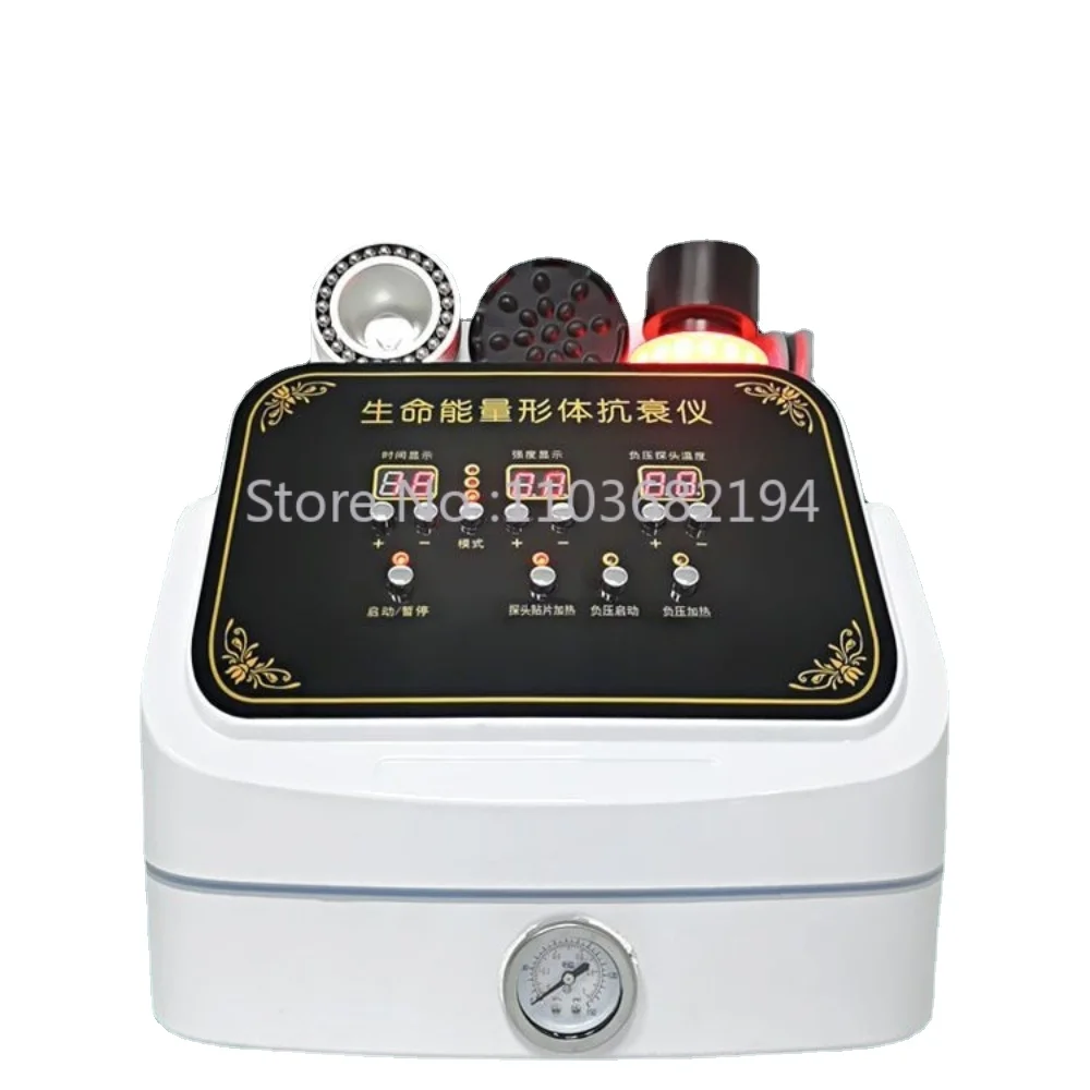 Life Energy Body Anti-Aging Instrument Dredge Meridian Micro Current Dds Bio-Electrotherapy Beauty Instrument