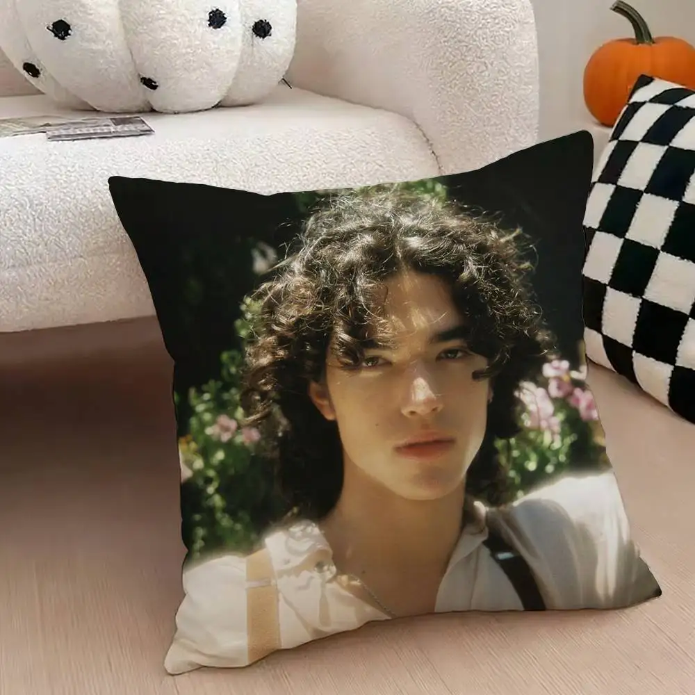 C-Conan gray Heather Pillow Case Pattern Printed Pillowcase For Living Room Sofa Cushion Cover