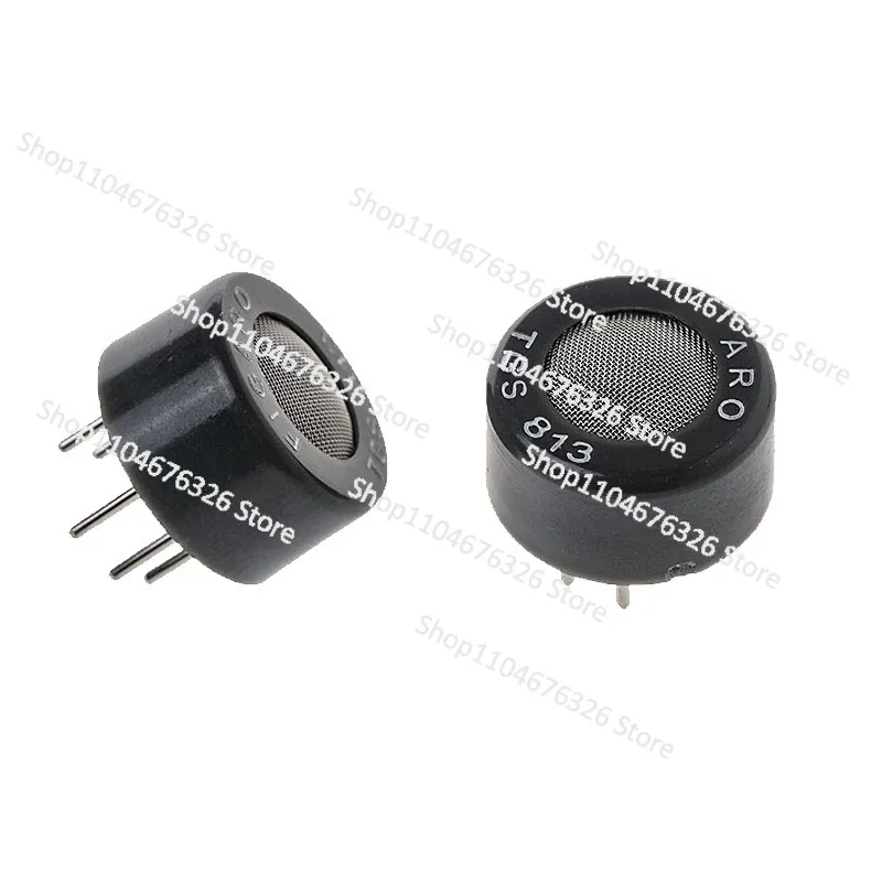 TGS813 Combustible …