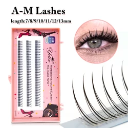 Yelix A/M Shape Spikes Cluster Eyelash Extension Fish Tail Mix False Lashes Individual Makeup Natural Premade Fan Cosplay