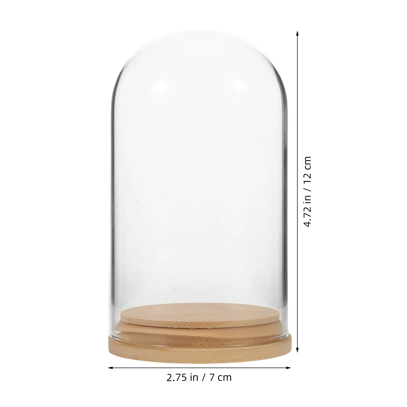Plant Propagation Jars Glass Dome Cloche Bell Jar Transparent Cover Desktop Vase Hydroponic Planter Micro Landscape Bottle