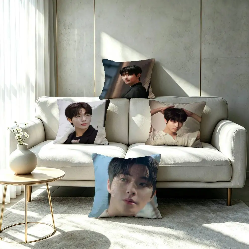 H-Hwang I-In Y-Yeop Double-sided printed pillow cover Solid color minimalist pillowcase, fits all bedroom styles