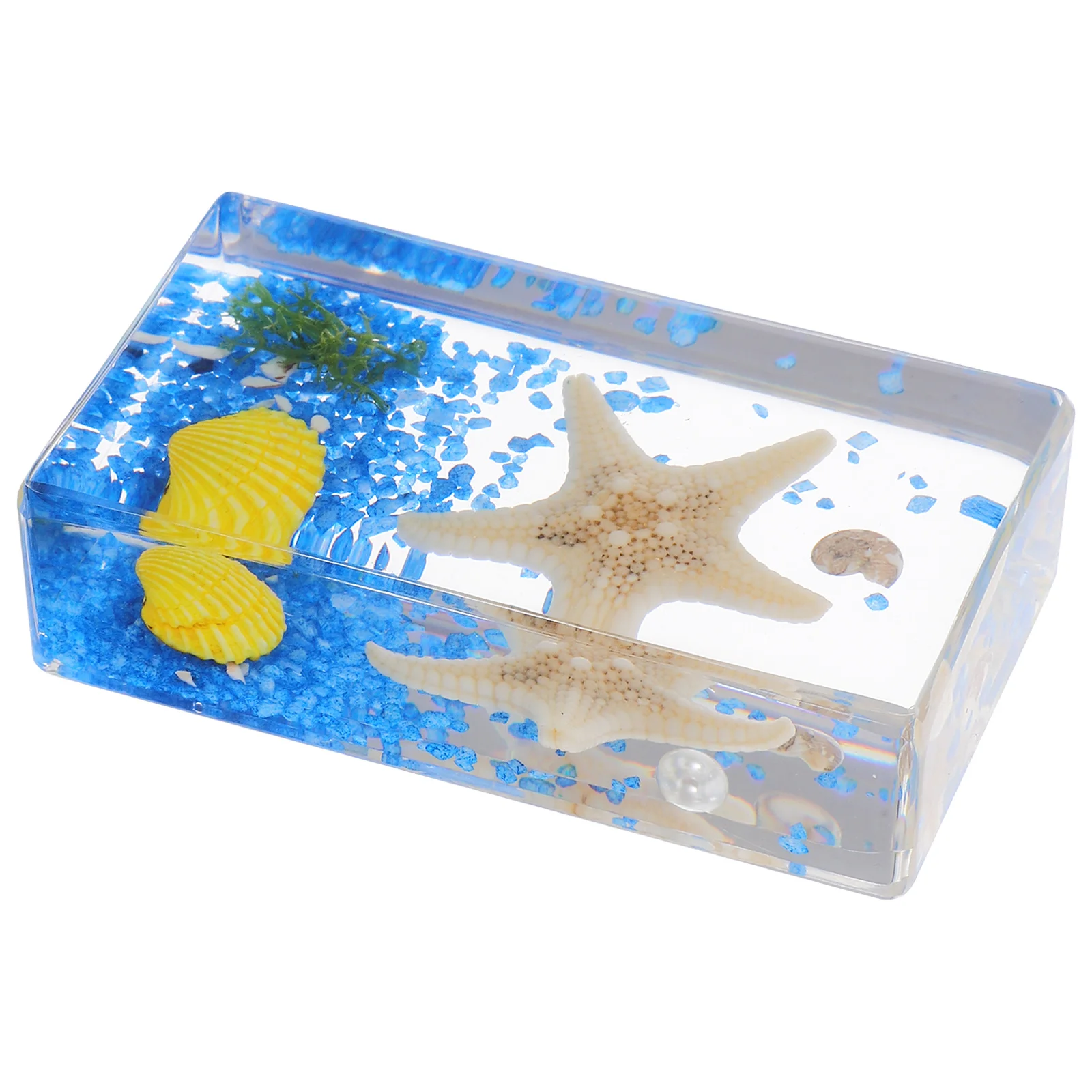

Sea Star Specimen Resin Paperweight Natural Educational Scientific Specimen Display Decorative