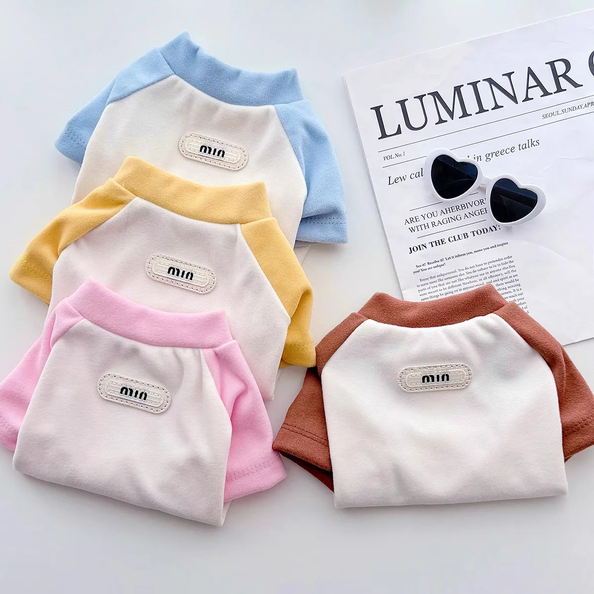 

Spring Pet Bottom Shirt Simple Dog Clothes Yorkshire Semi-High Neck Vest Small Dog Home Soft Two Leg Clothes