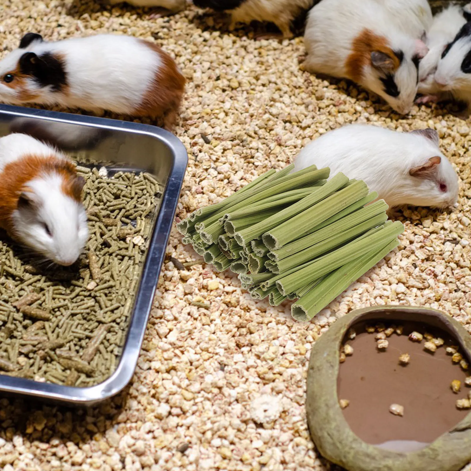 1Set Natural Papaya Stem Pet Chew Snacks Rabbit Chew Sticks Dental Hygiene Treats for Hamsters Chinchillas Guinea Pigs Small