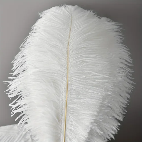 Imagen 2 del producto 10 Uds plumas de avestruz plumas blancas para manualidades DIY decoraciones de boda accesorios de artesanía de Carnaval