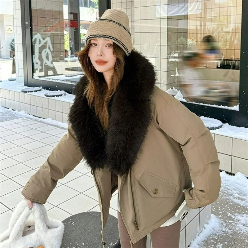 Large Fur Collar Detachable Cotton-padded Jacket Parker Down Cotton-padded Jacket Winter New Fox Fur Collar Casual Short Coat,