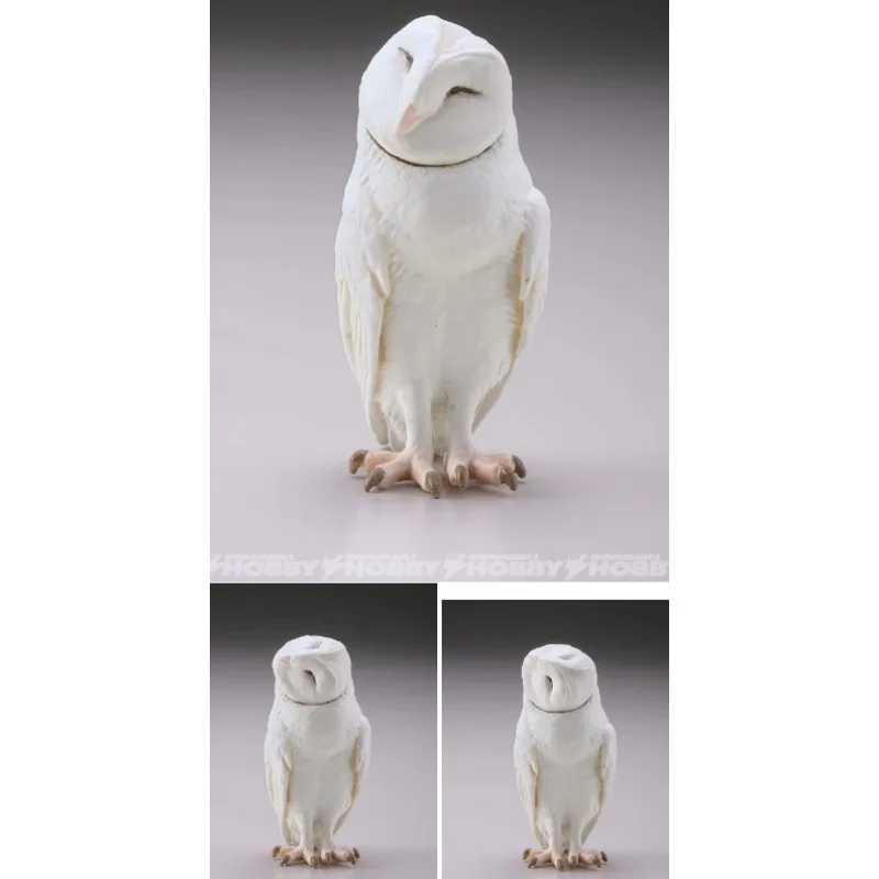 Original KAIYODO Blessed Owl Gashapon Qversion Mini Animal Action Figure Model Toys Gifts Cartoon Character Collection Ornament