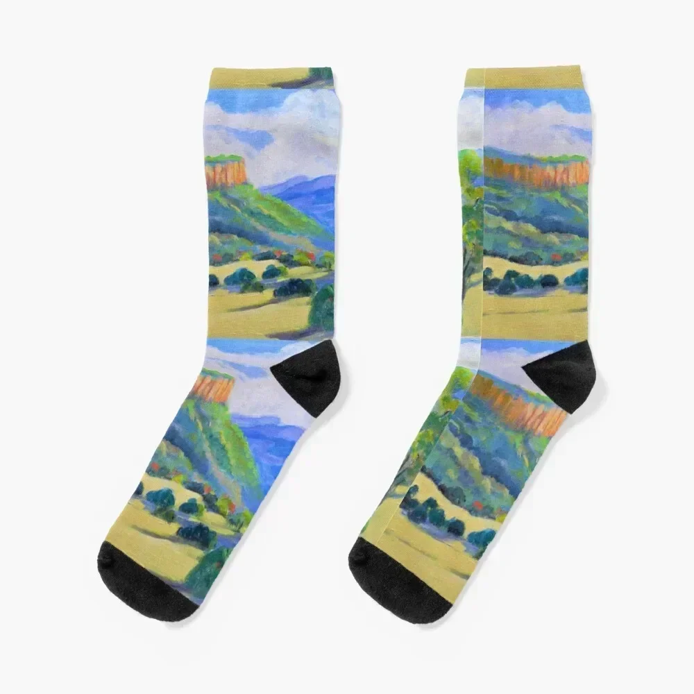 Old Bonalbo Country NSW #2 Socks christmas stocking Antiskid soccer new year Women's Socks Men's