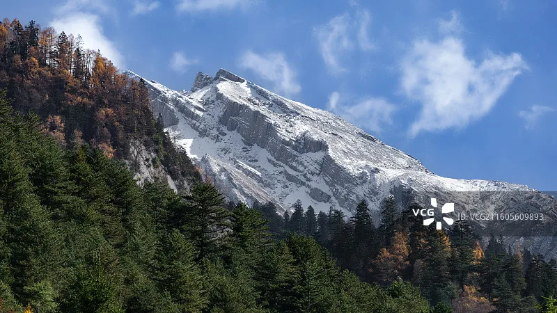 Runcam O4 Coaxial C… - image