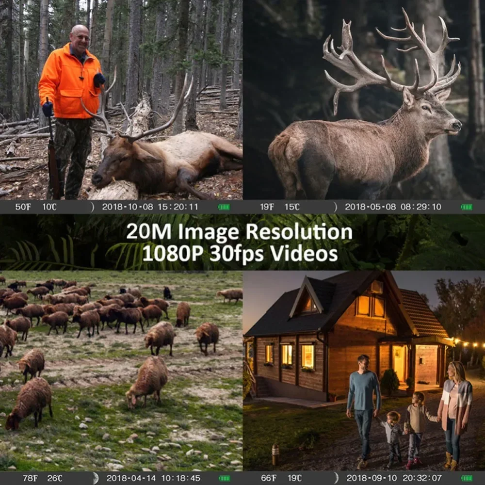 36MP 1080P فيديو الحياة البرية كاميرا تعقب صور فخ الأشعة تحت الحمراء كاميرات الصيد الحياة البرية كاميرات تتبع المراقبة اللاسلكية