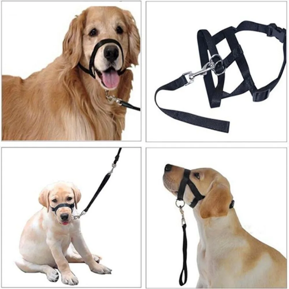 Safe Dog Training Head Halter Short Snout Pets Nose Loop Leash Gentle Control Harness Anti Pull For Walking Correction Tool