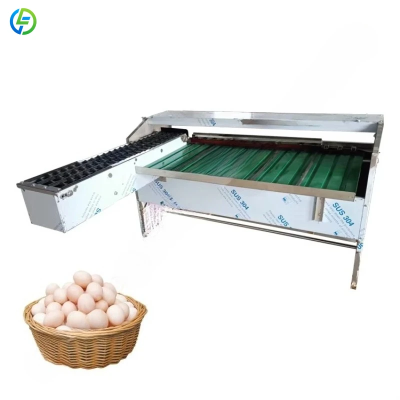 Factory Price High Capacity Egg Grader Table Top Egg Grading Machine Sorter Customized