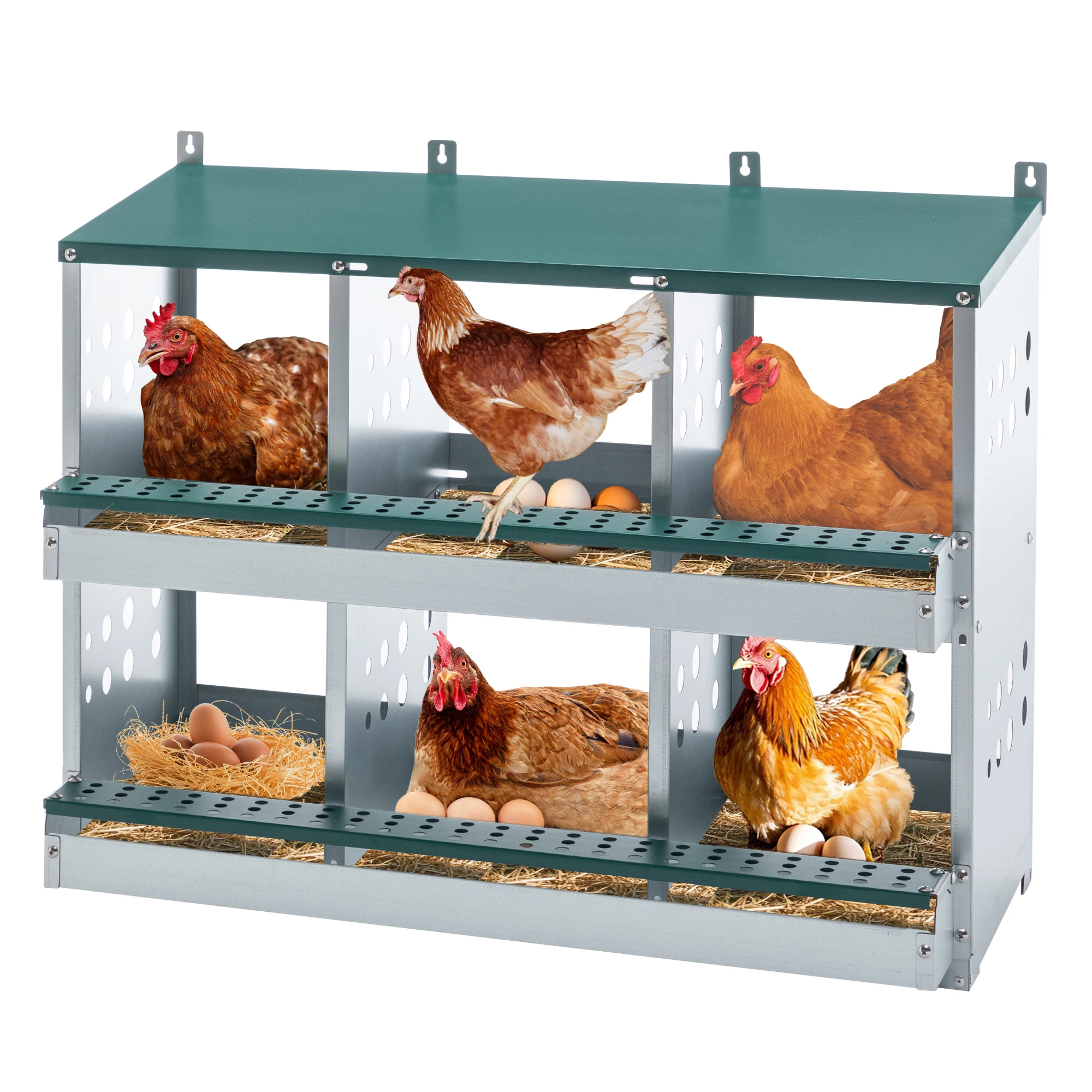 6 Compartment Galvanized Steel Roll Away Chicken Nesting Box Wall Mount Egg Laying Poultry Coop with Green Finish for Hens