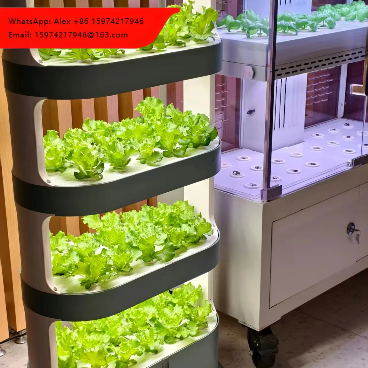 Four-layer Intelligent Hydroponic Towers For Growing Leafy Vegetables