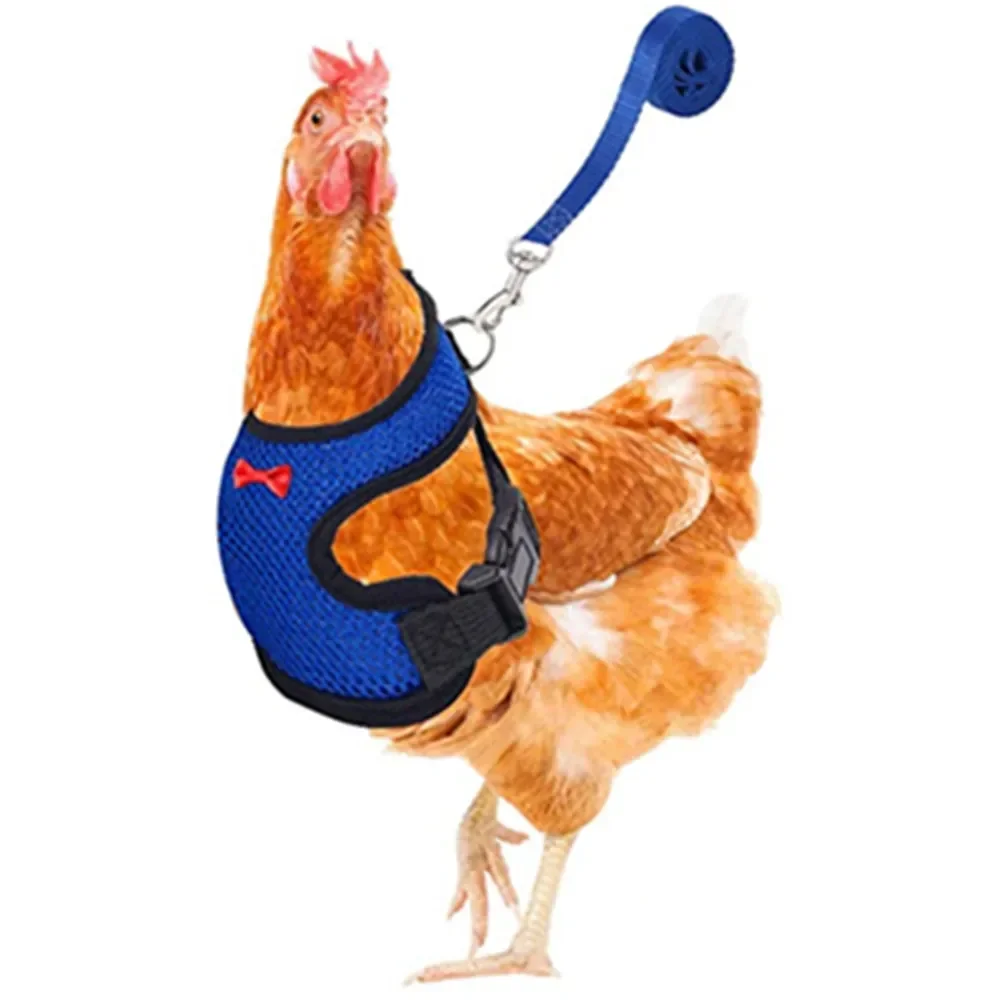 Fashion Chicken Duck Vest Breathable Hen Belt Bow Comfortable Leads Pet Harness Matching Collars Mesh  Poultry Supplies Leash