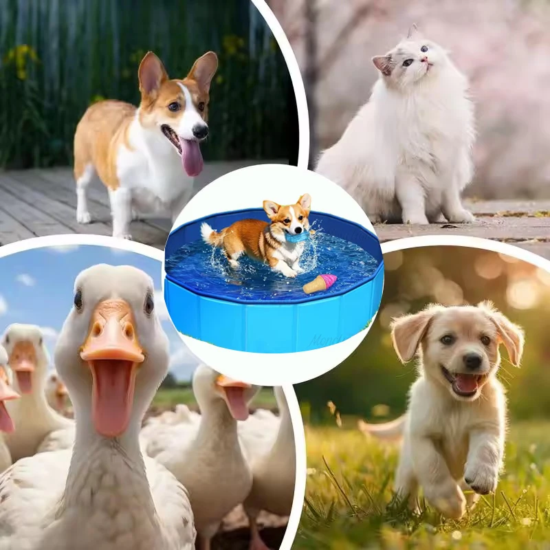 Swimming Pool Folding Basin Portable Pet Bathing Pool PVC Material Pets Foot Cleaning Basin for Ground Swimming Pool Entrance view 6