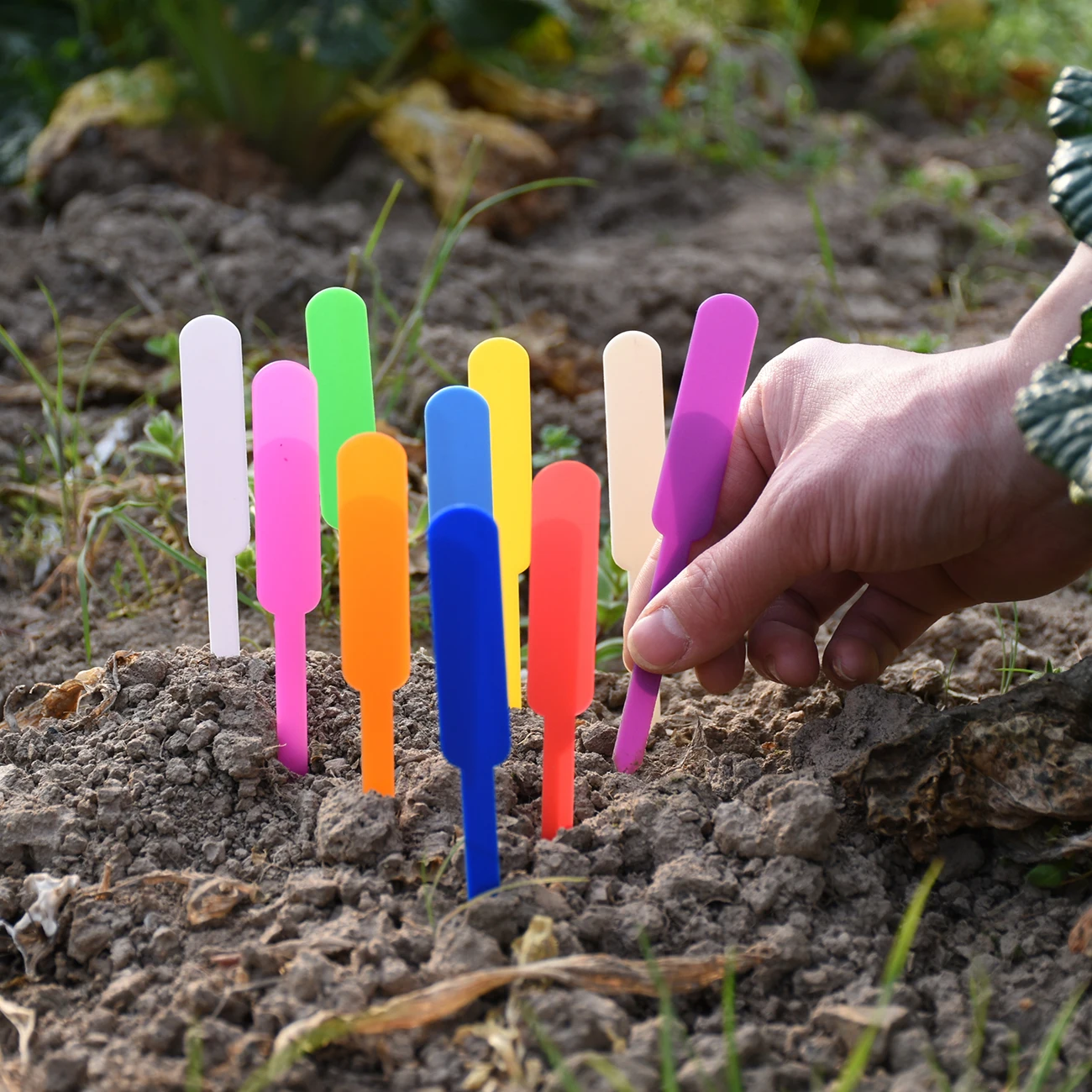 50PCS etichette per piante da giardino impermeabili etichette in plastica marcatori per vivai vasi da fiori piantina scrivere segno segno strumenti