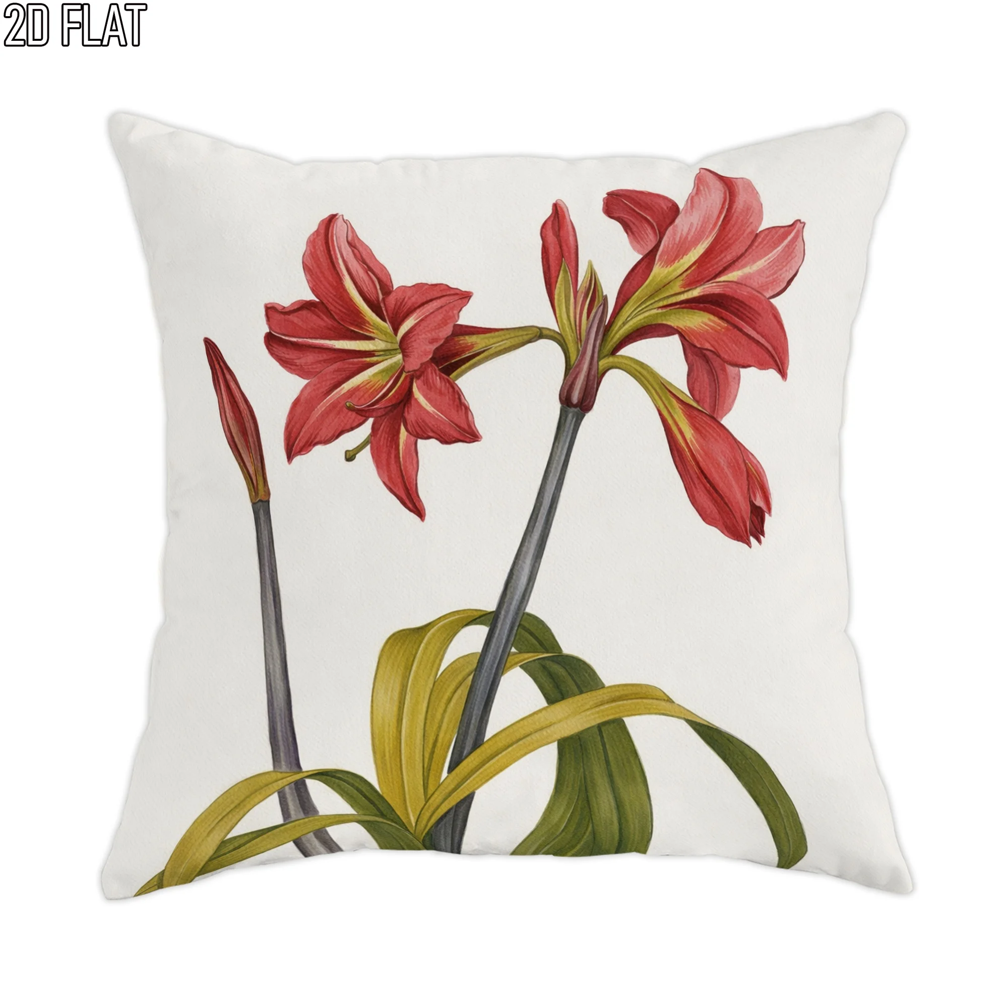 Red Amaryllis Pillow Cover Botanical Illustration White Background 16x16 Inch Square Floral Decor  throw pillow covers