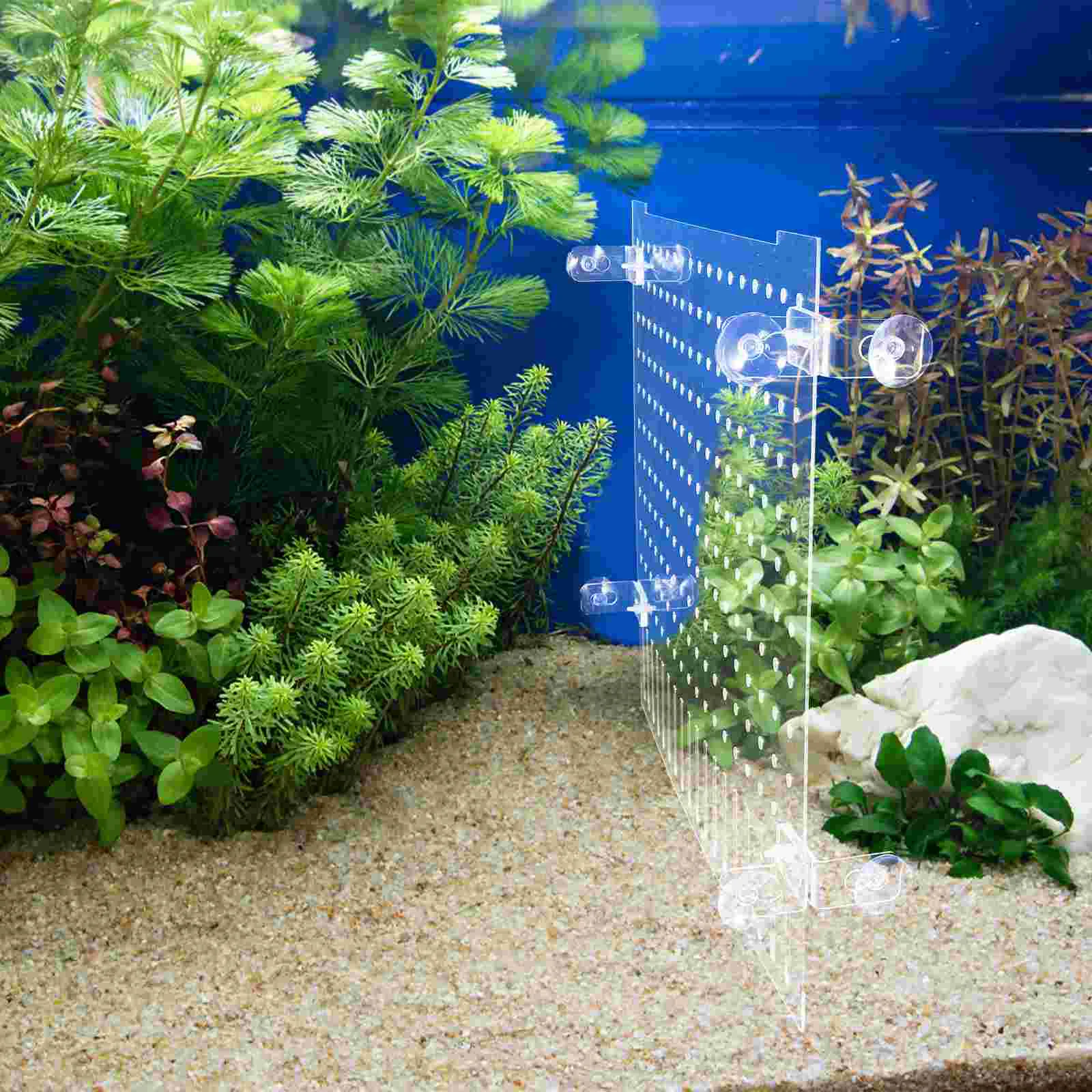 Portable Fish Tank Isolation Board Aquarium Acrylic Supplies Transparent Divider