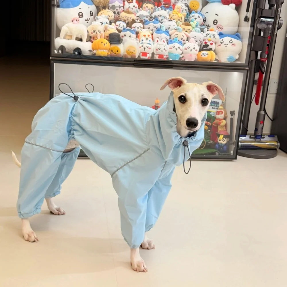 Spring Summer Blue Raincoat for Italian Greyhound Windproof Waterproof Red Zipper Jacket for Whippet Dog Reflective Strip Coat