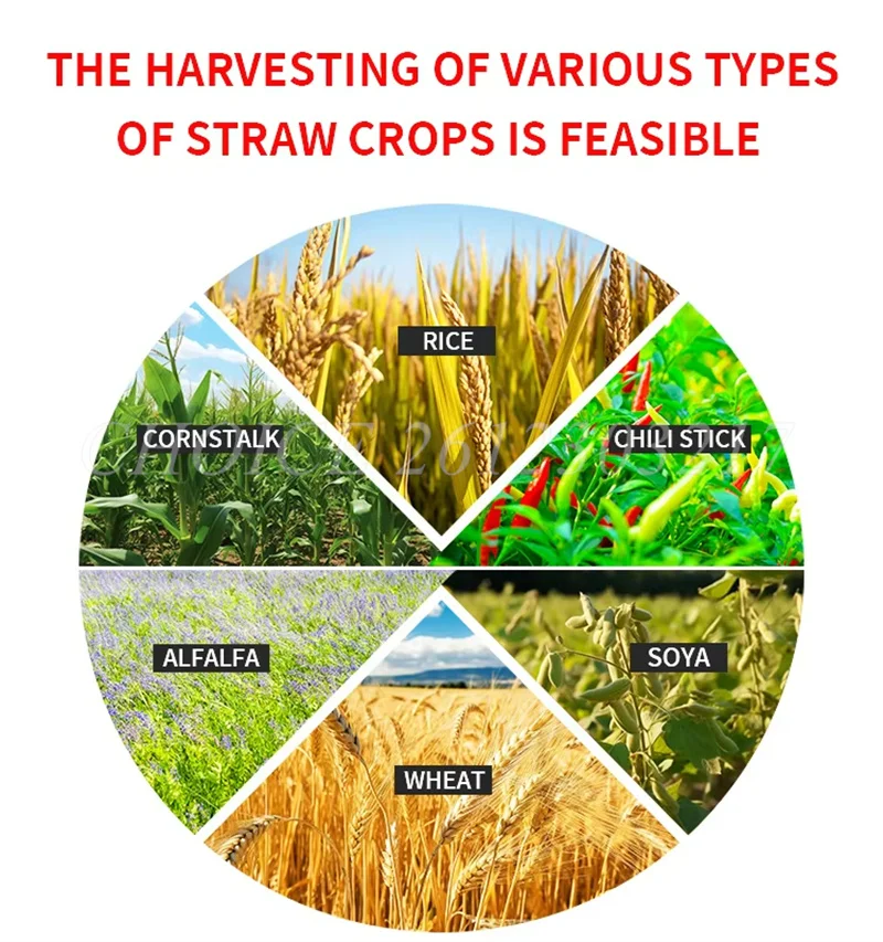 High Quality Agricultural Chili Rice Wheat Combine Hand Reaper Harvester Machinery Paddy Corn Forage Grass Cutter Machine