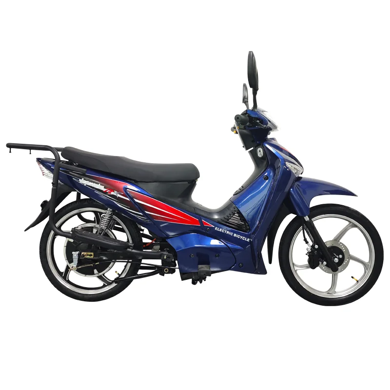 家庭用電動自転車,60Vリチウム電池,800W, 22インチ,OEM