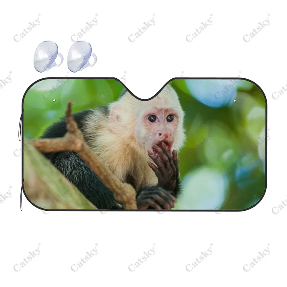 capuchin monkey Car Sunshade Interior Accessories Folding Sunscreen Anti-UV Pattern Printing Gift Sunshade