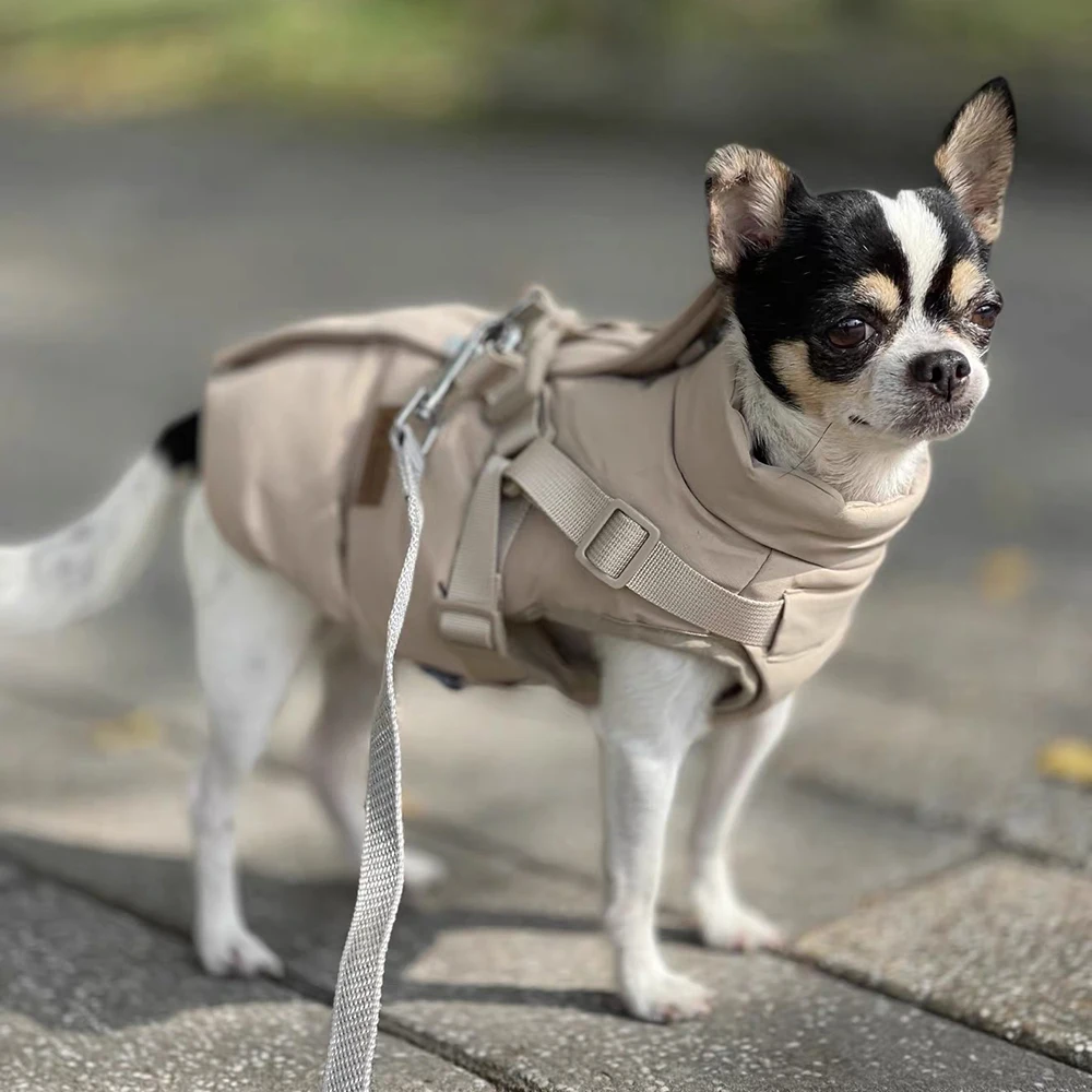 Modische Welpen-Hundemantel-Jacke mit Geschirr, Frühling-Winter-Warme Haustierkleidung für Kleine und Mittelgroße Hunde, Chihuahua, Katzen, Mascoats-Kleidung