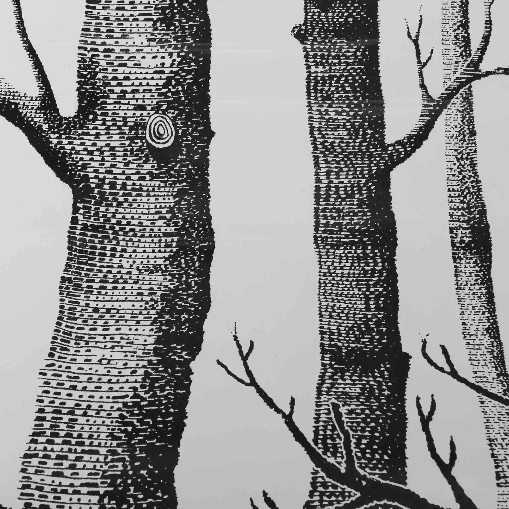 

Обои YSUN с изображением черно-белых берёз для спальни, современный дизайн, обои для гостиной, рустикальные обои с изображением леса.