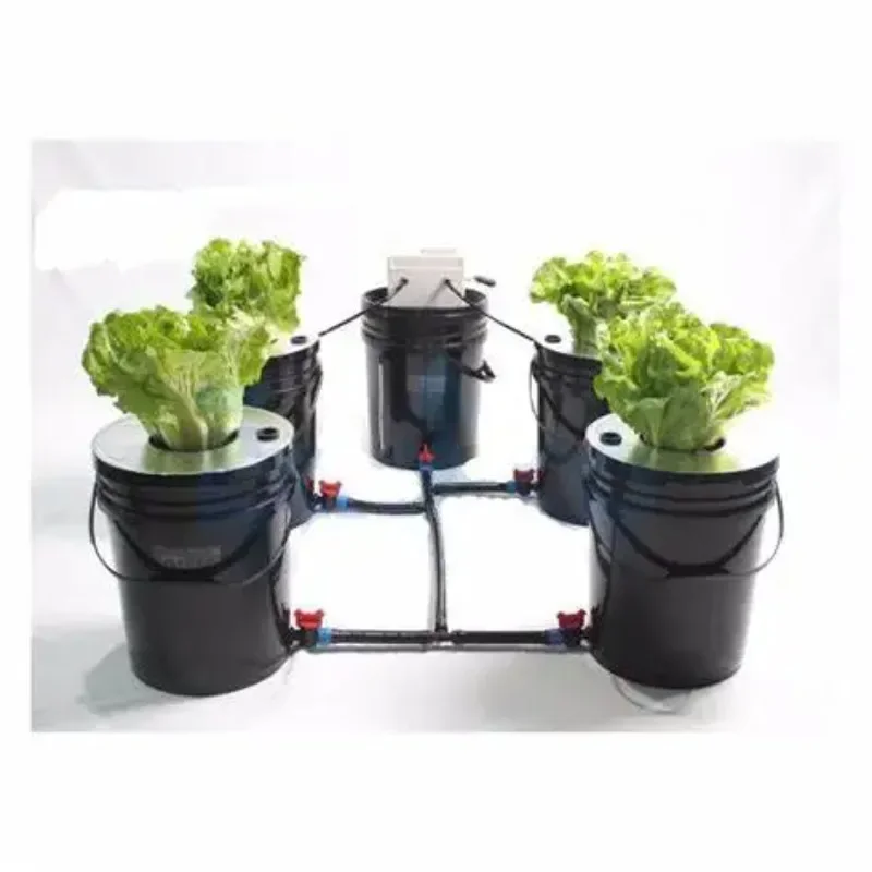 Water Culture 5 Gallon 4 6 8 10 12 Site Bubble Flow  Growing System Kits