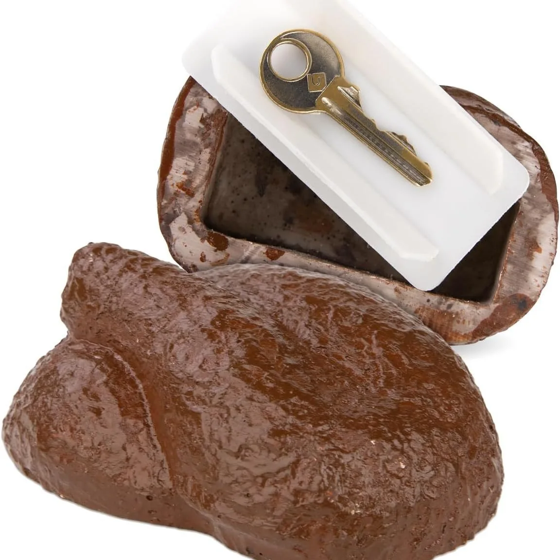 Boîte de Rangement Cachée en Forme de Caca, Accessoire de SecExamen pour Décoration de Jardin, Cour et Prairie