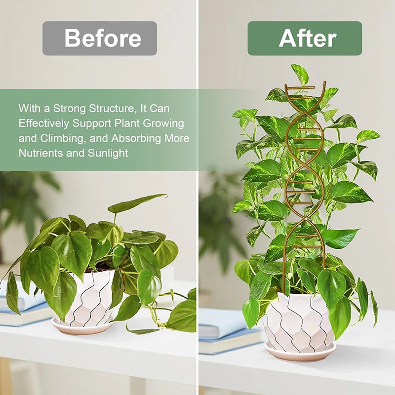نبات تسلق دعم الحدائق أواني الزهور استخدام الكرمة حامل معدني عبر الإطار حامل اكسسوارات بونساي أداة لشتلات تعريشة
