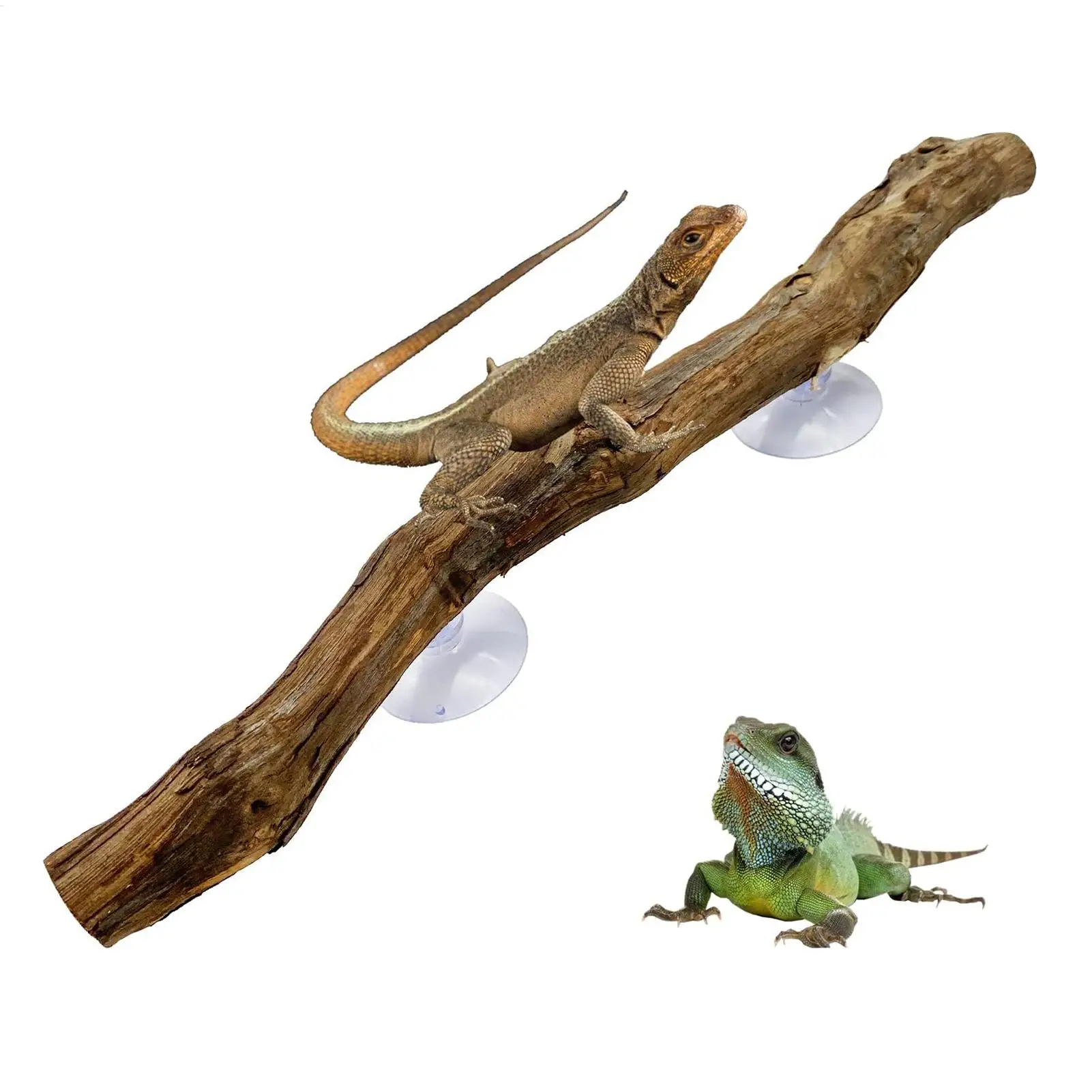 Rama para Escalar para Serpientes, Decoración Única para Escalar, Decoración Natural Antideslizante para Hábitat, Decoración para Reptiles, para Dragones Barbudos y Serpientes