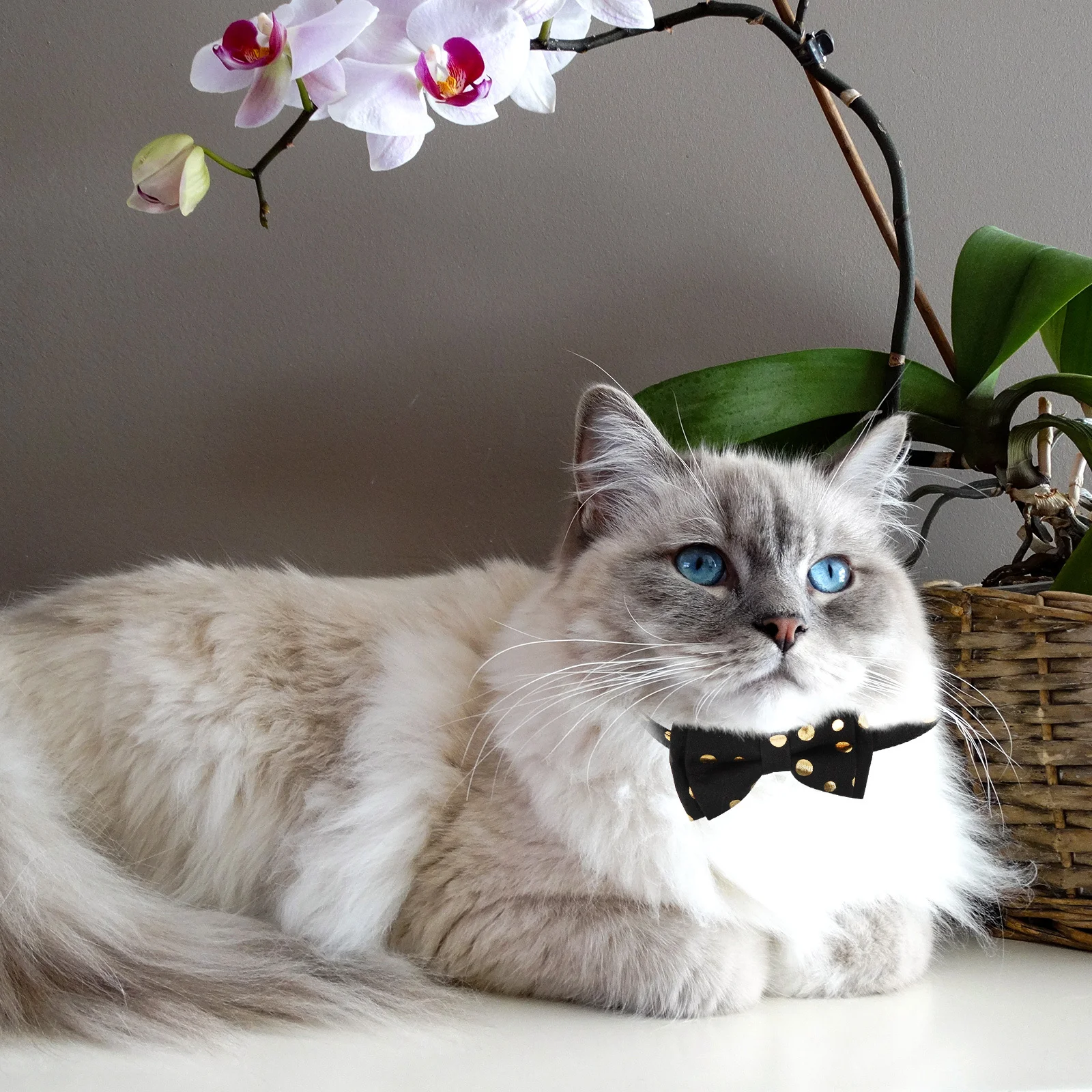 

Butterfly Bow Tie Pet Collar Adjustable Cat Dog Collar For Christmas Party Decorative Washable Pet Neck Ornament