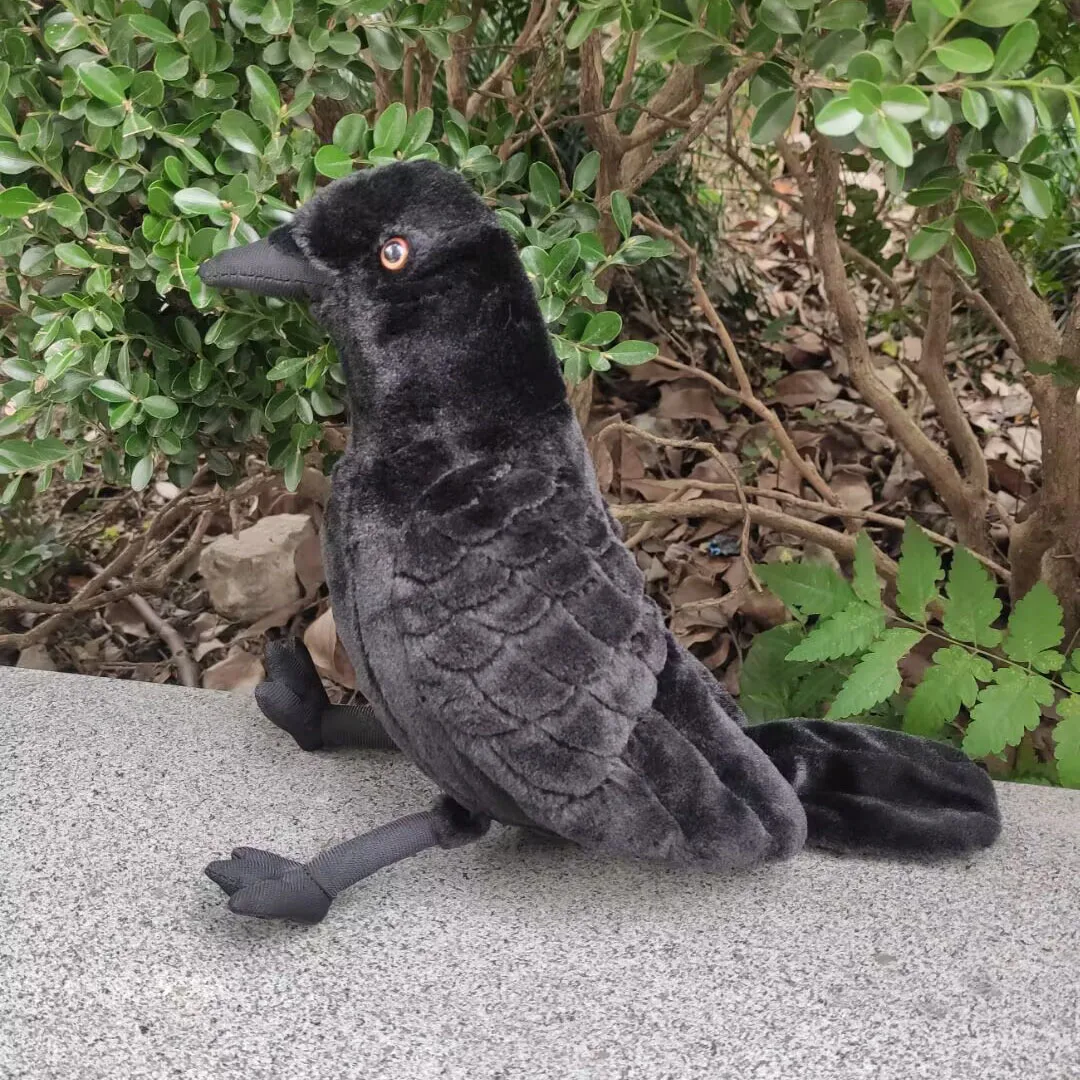 Simulated Animal Crow Corvus Validus Black Bird Ravens Jackdaw Wild Nature Zoo Model Plush Toy Stuffed Doll Girl Boy Friend Gift