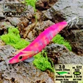 3.0 522 HOT PINK