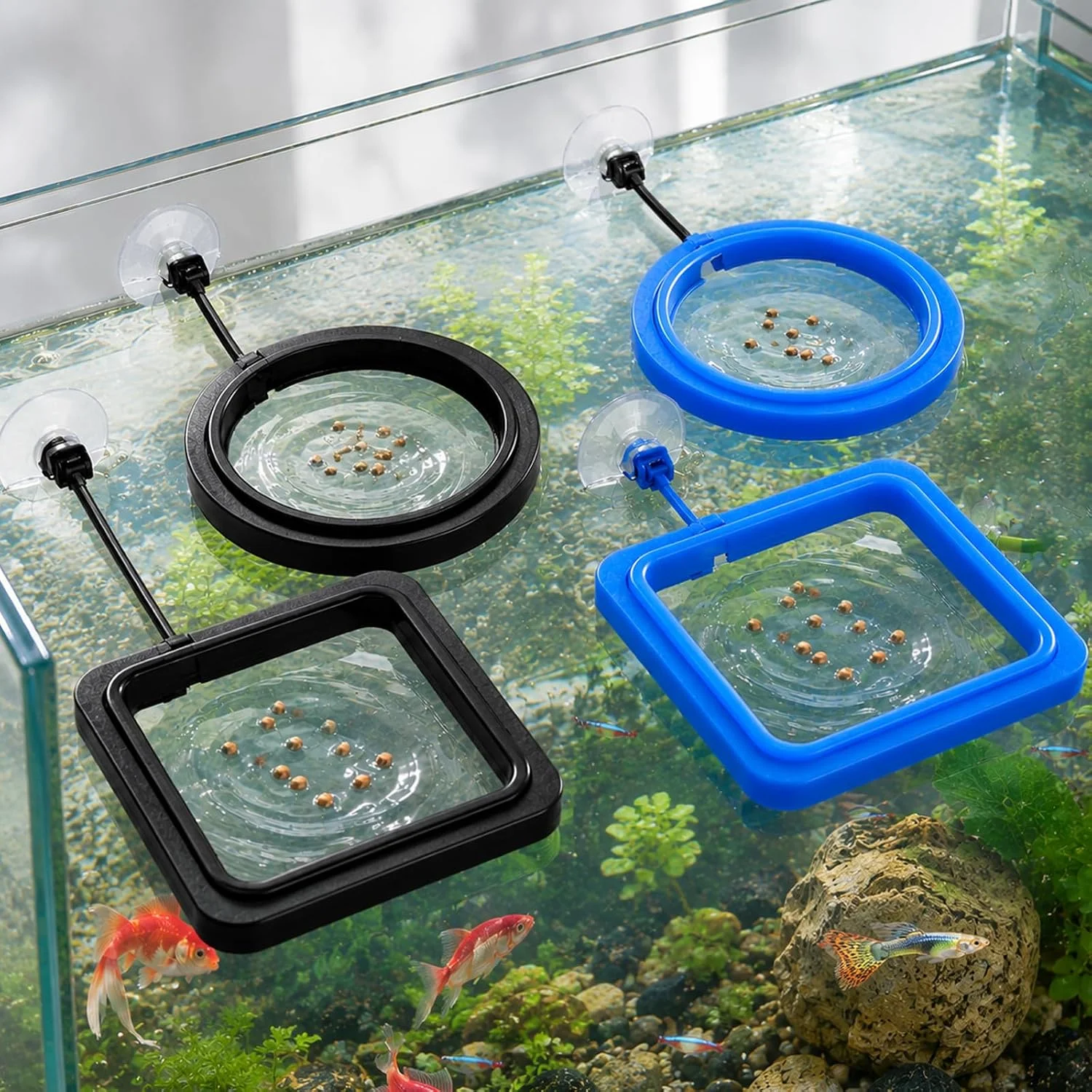 Anel de Alimentação para Aquár - Aquarium Fertilizer avaliação e preço