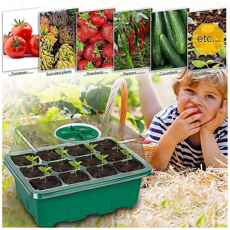 Indoor Greenhouse Propagator Mini Greenhouse Window Sill Set For Seedling Plant Germination (12 Pieces)