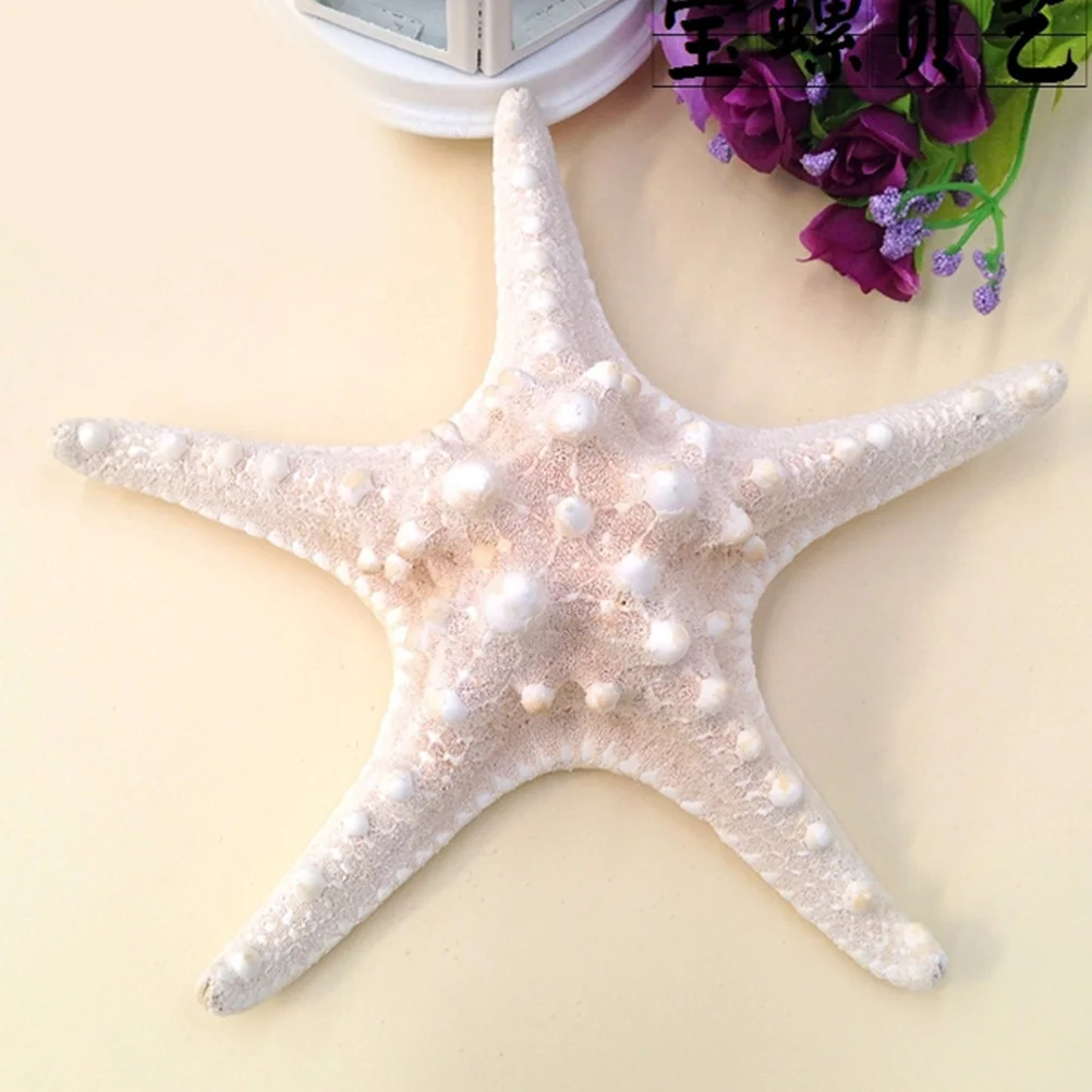 

10Pcs Sea Star Ornaments Natural Ocean Theme Home Decoration Photo Props Beach Party Pendant DIY Craft Tools Mixed Colors