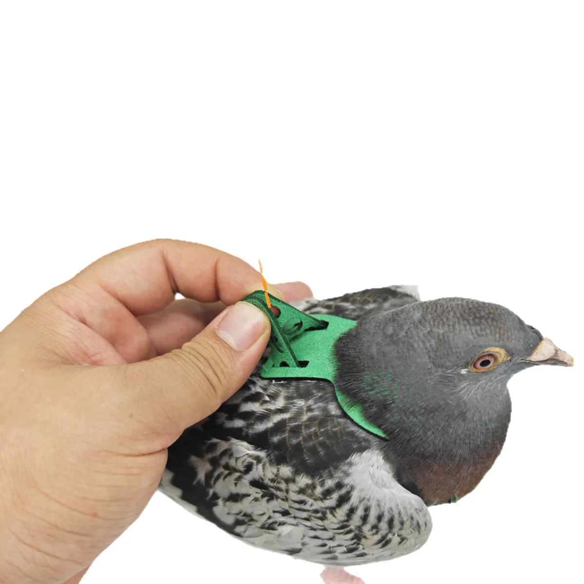 Ultra Lightweight 4g Adjustable Parrot Harness with 10ft Elastic Leash for Cockatiel, Conure, Lovebird, Budgie