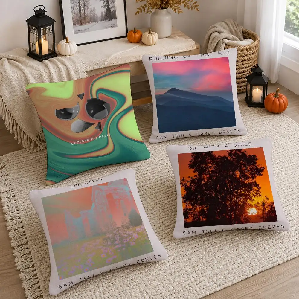 Pop Singer Sam Tsui Cushion Cover Washable Short Plush Pillowcase, Wrinkle Resistant Cushion Cover for Bedroom Decor Gift