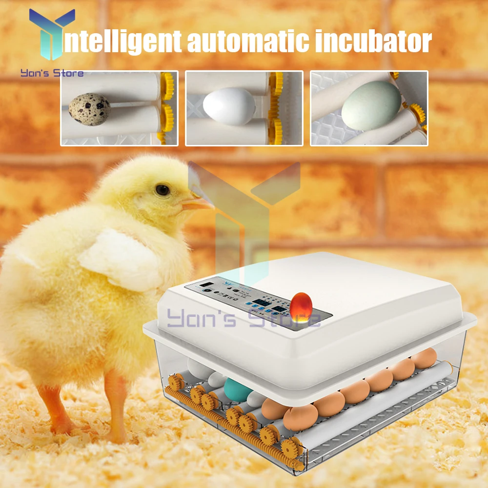 36 Small Household Eggs Incubators Brooder Fully Automatic Intelligent Chicken Duck Goose Pigeon egg incubator Poultry Farming