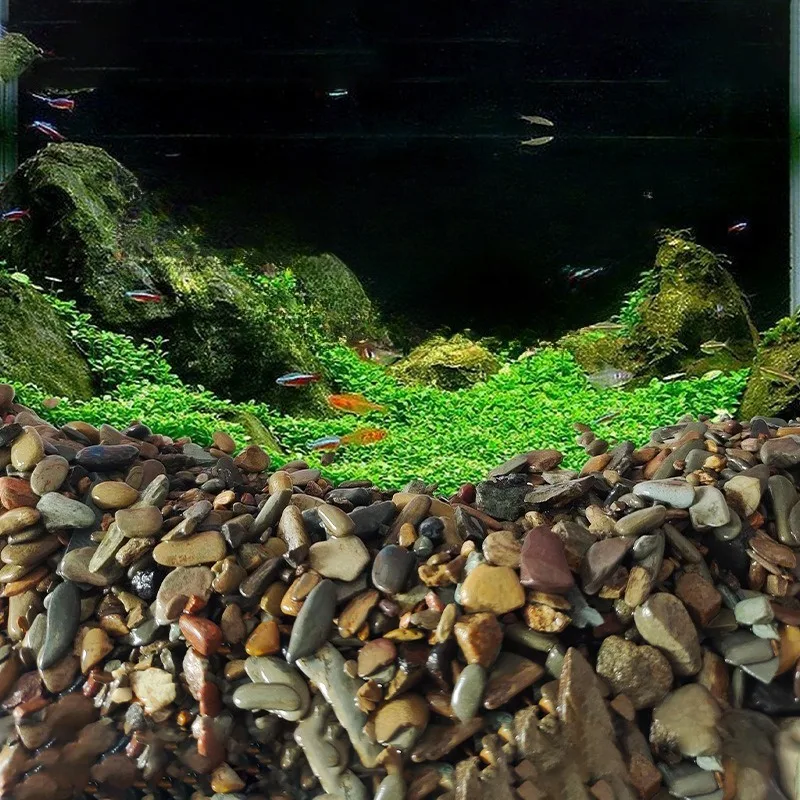 Natural Stream Pebbles Gravel 2