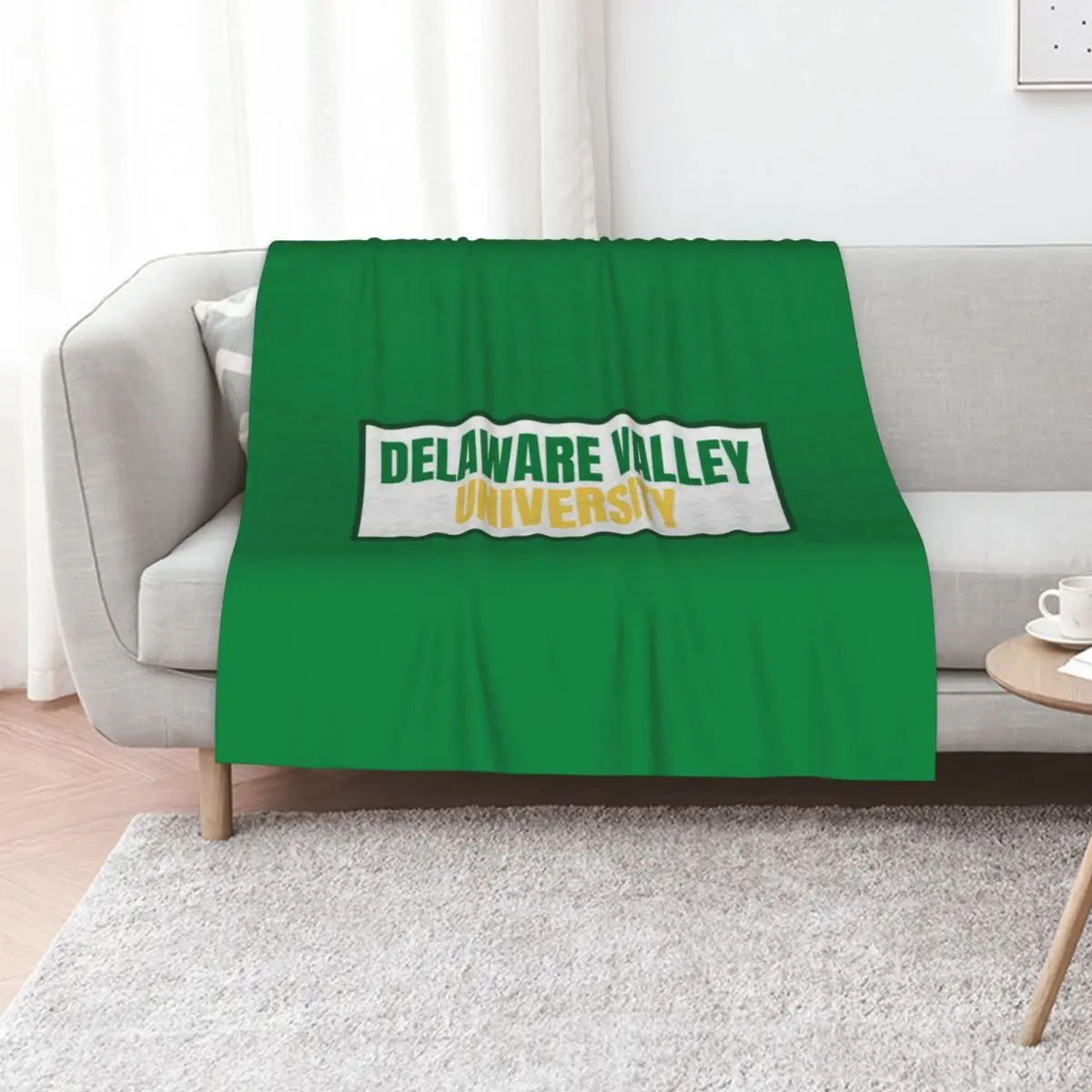 

Delaware Valley University Throw Blanket Retros Decorative Beds Thermal Flannel Blankets