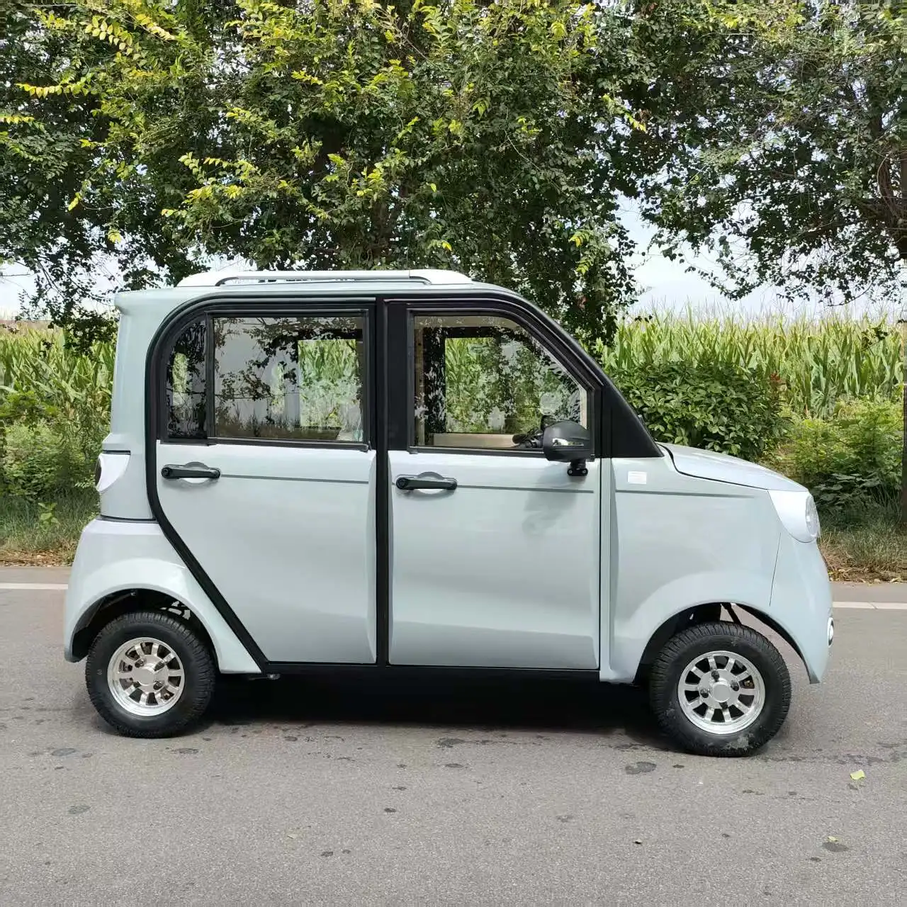 The elderly micro new energy vehicle 1000W 60v household electric vehicle, fully enclosed lithium battery adult car