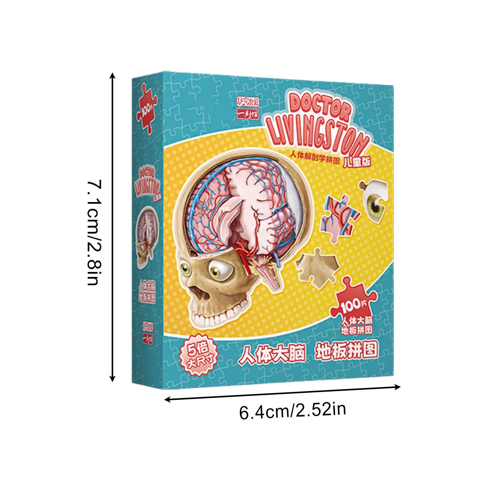 100 peças quebra-cabeças de cérebro humano inclinado modelo de anatomia do cérebro humano brinquedos educativos jogos científicos para adolescentes meninos meninas